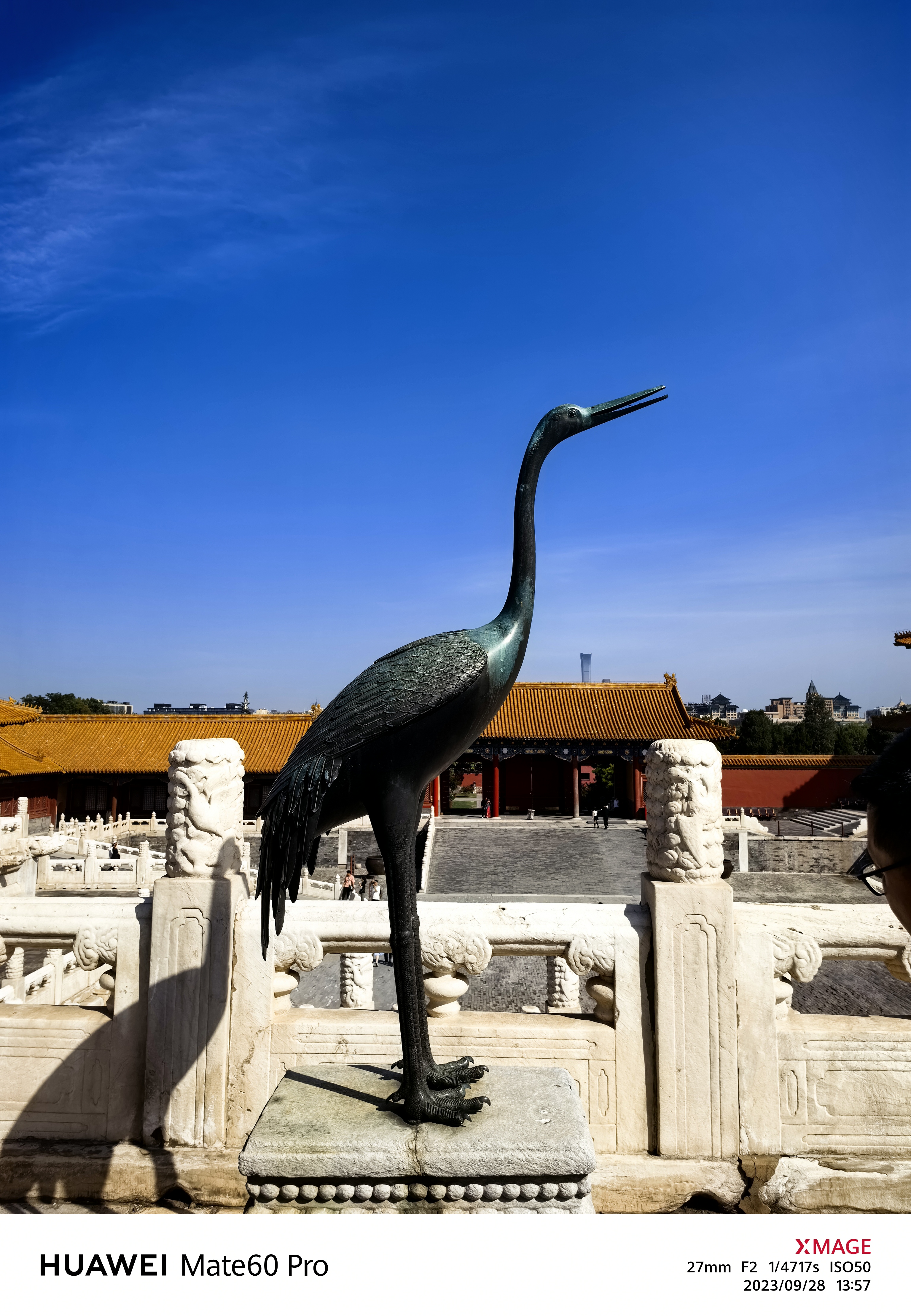 2023-09-30, 故宫, 鹤, 特种兵, 北京