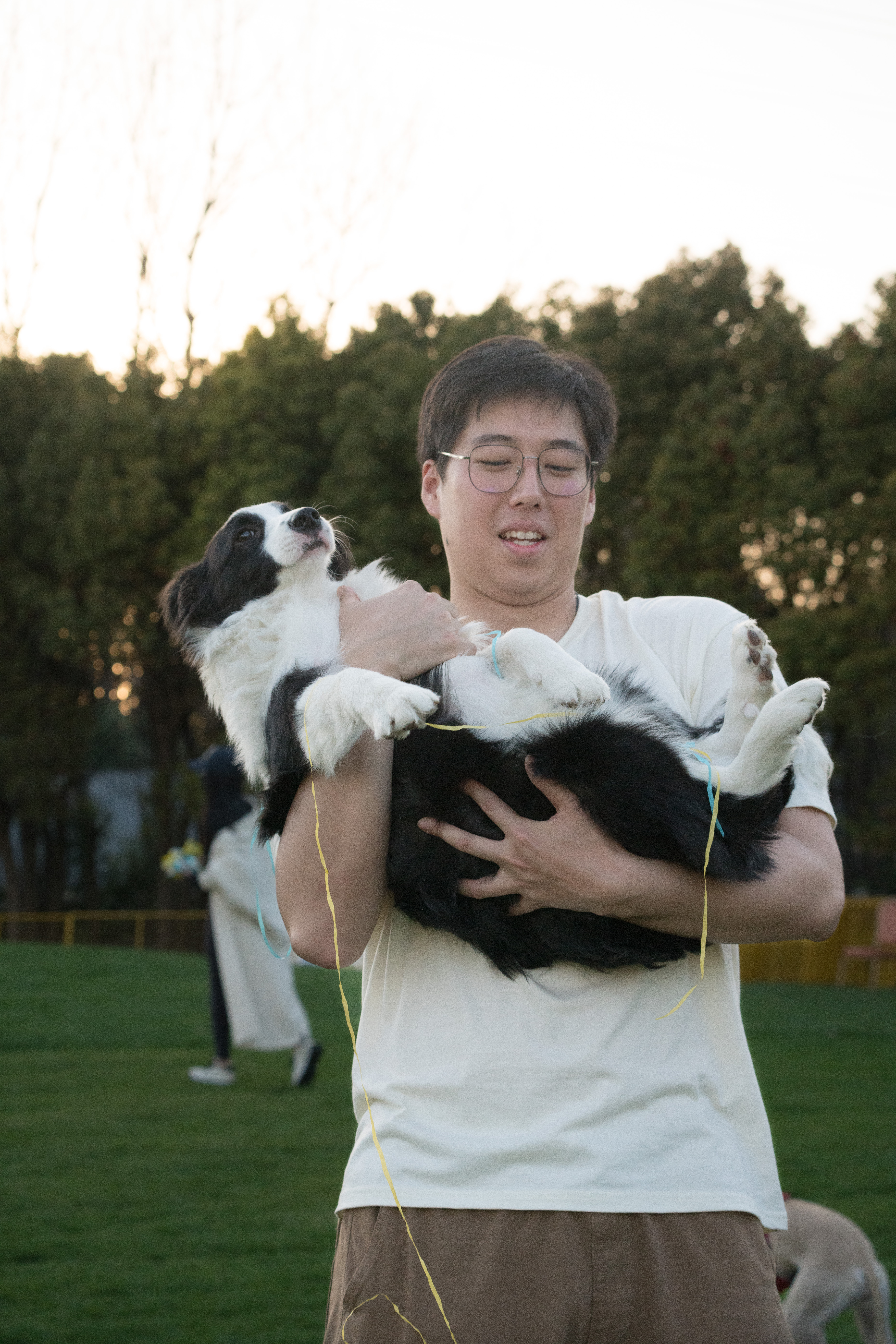 2024-03-30, 狗, 上海, 白, 黑, 边牧, 奎恩, 互动