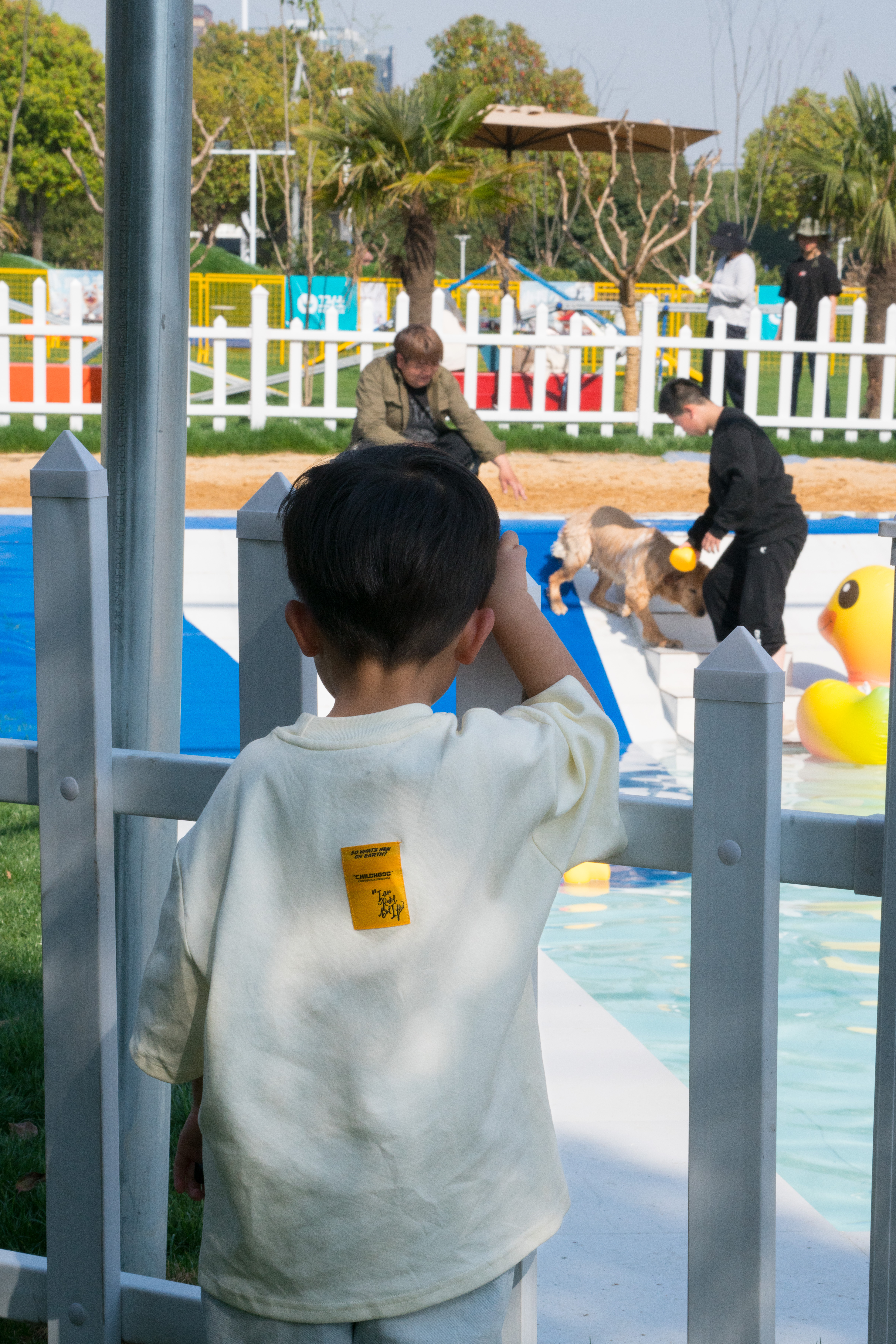 2024-03-30, 人, 上海, 凝视, 金毛, 泳池