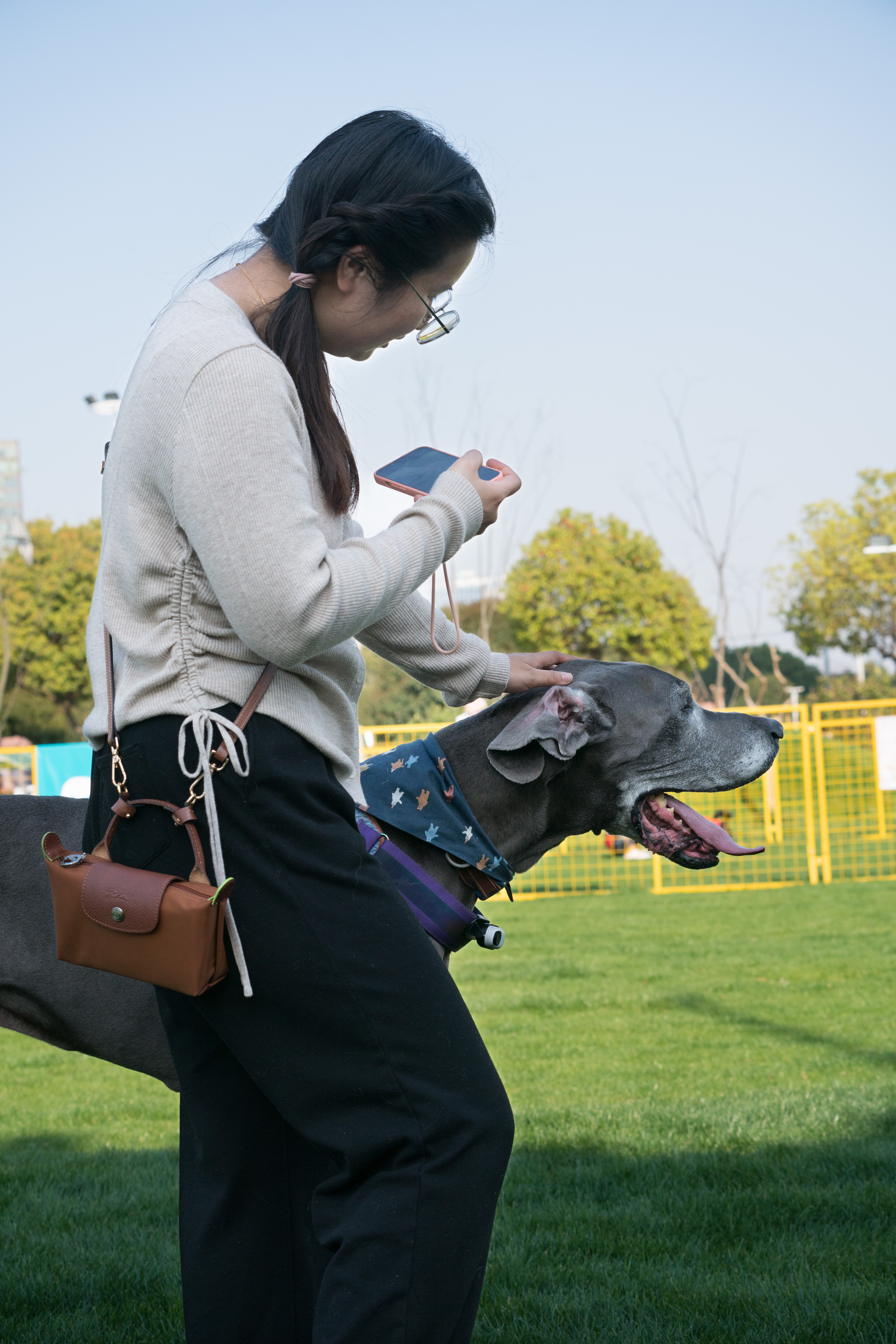 2024-03-30, 狗, 上海, 黑, 威马, 互动